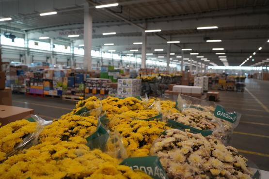 Aldi Lingen erweitert Logistikzentrum