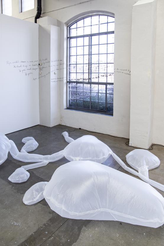 beyond breath 
Leo Marielle Amsbeck, Lisa Bülow, Friederike Klodwig, Remco de Kluizenaar, Ansgar Silies 
Installationsansicht Kunsthalle Lingen 2025
