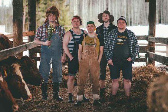 Steve'n'Seagulls