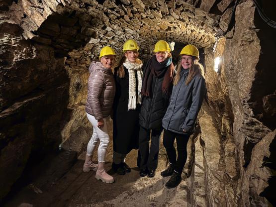 Hennes Buitmann, Anke Gossling und Oliver Gellenbeck haben ein vierwöchiges Praktikum über Erasmus+ in Irland absolviert.

