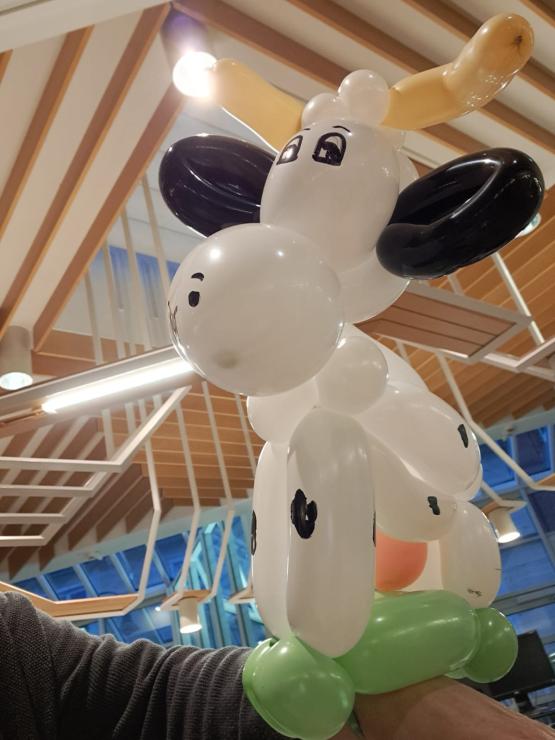 Luftballonkünstler in der Lingener Stadtbibliothek: Die Lingener Stadtbibliothek in der Karolinenstraße wird in diesem Jahr 40 Jahre alt. 
