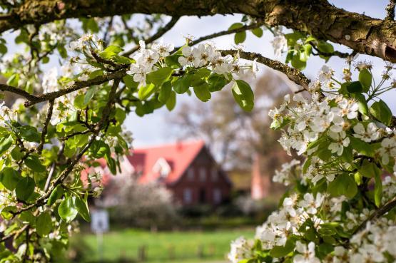 Frühling in Brockhausen