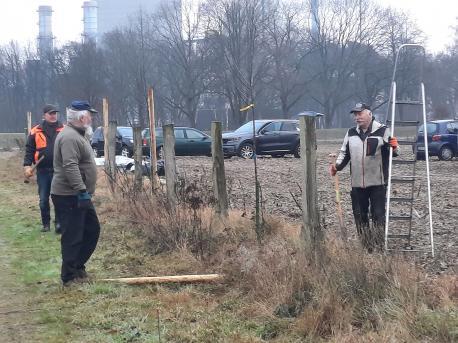 Darmer Jäger pflanzen Streuobstbäume