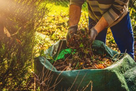 Gartenarbeit