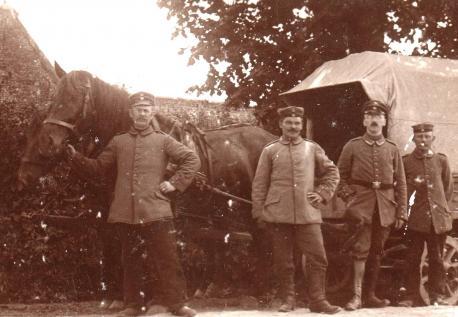 Pferde waren für die Soldaten an der Front unverzichtbar.