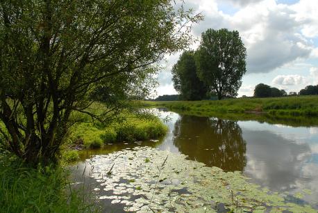 Emslandschaft bei Lingen-Beversundern; Ems; grün