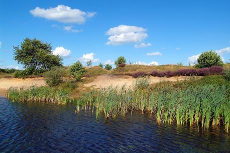 Wachendorfer Heide Landschaft