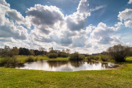 Frühlingslandschaft Biener Sand
