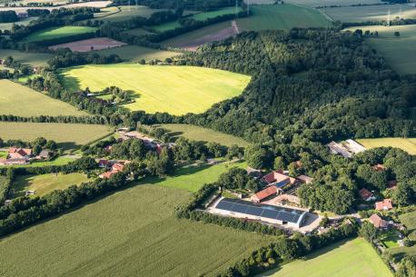 Brögbern, Luftbild, Landwirtschaft, Tierhaltung