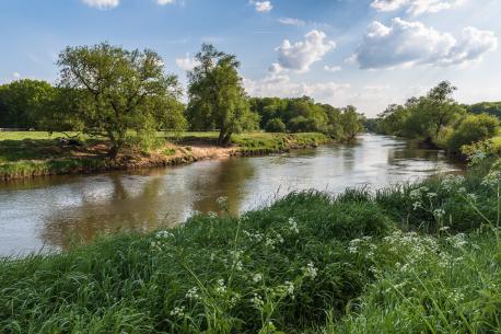 Emslandschaft - Schepsdorf Herzforder Weg