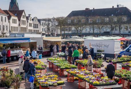 Viele Verkaufsstände auf dem Wochenmarkt auf dem Lingener Marktplatz und Menschen, die den Wochenmarkt besuchen; im Hintergrund Häuser; blauer Himmel